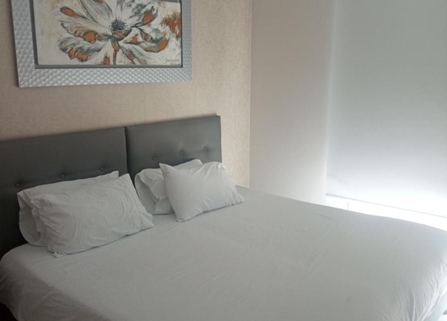 Palmetto Sunset 1002 Lujo Cartagena